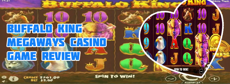 Buffalo king slot