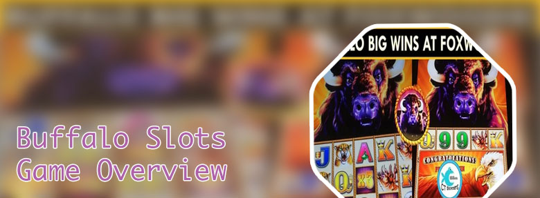 Different buffalo slot machines